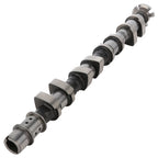 Intake Engine Camshaft for Chevrolet Pontiac 1.6L (2009) 55561747