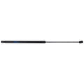 Set of 2 Hood Lift Supports for Acura TLX