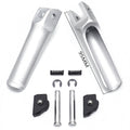 Silver Rear Passenger Footpeg Rest for Ducati Panigale V4/S (2018–2020)
