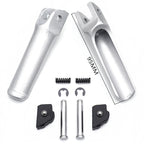Silver Rear Passenger Footpeg Rest for Ducati Panigale V4/S (2018–2020)