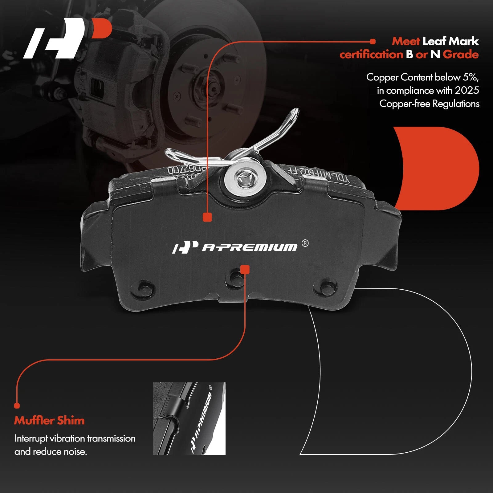 Rear Disc Brake Rotors & Pads for Ford Mustang