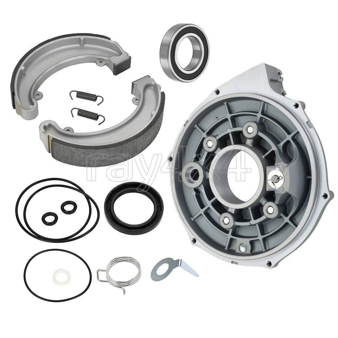 Rear Brake Backing Plate Kit w/ Brake Shoes for Honda Fourtrax 300 (1993–2000)