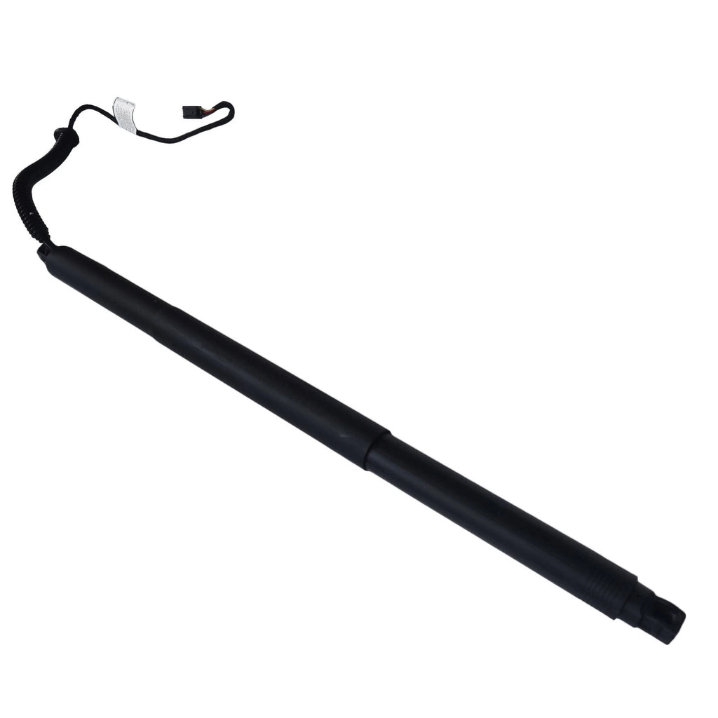 Liftgate Lift Supports for Volkswagen Tiguan (2018–2023)