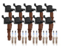 Set of 10 Ignition Coils & Double Iridium Spark Plugs for Ford 6.8 V10