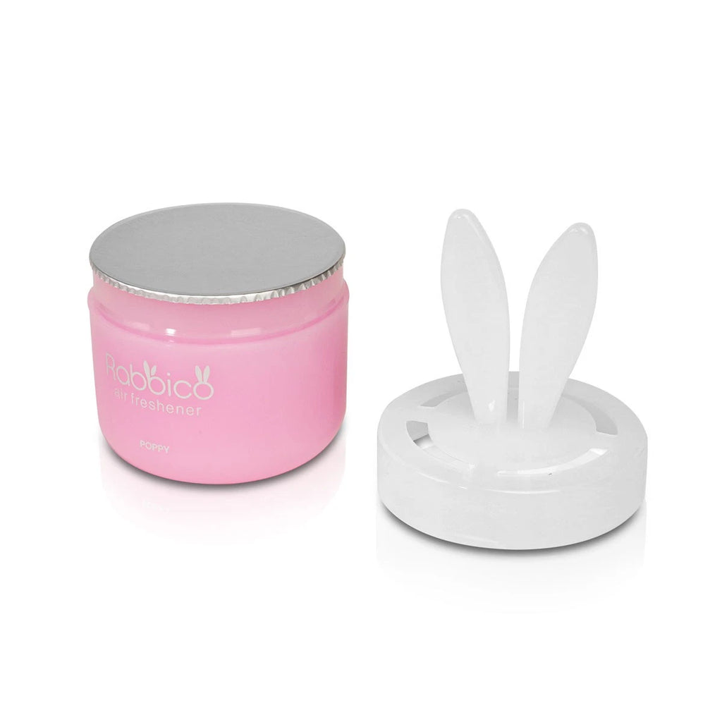 Air Freshener for Car (Diax 90g)