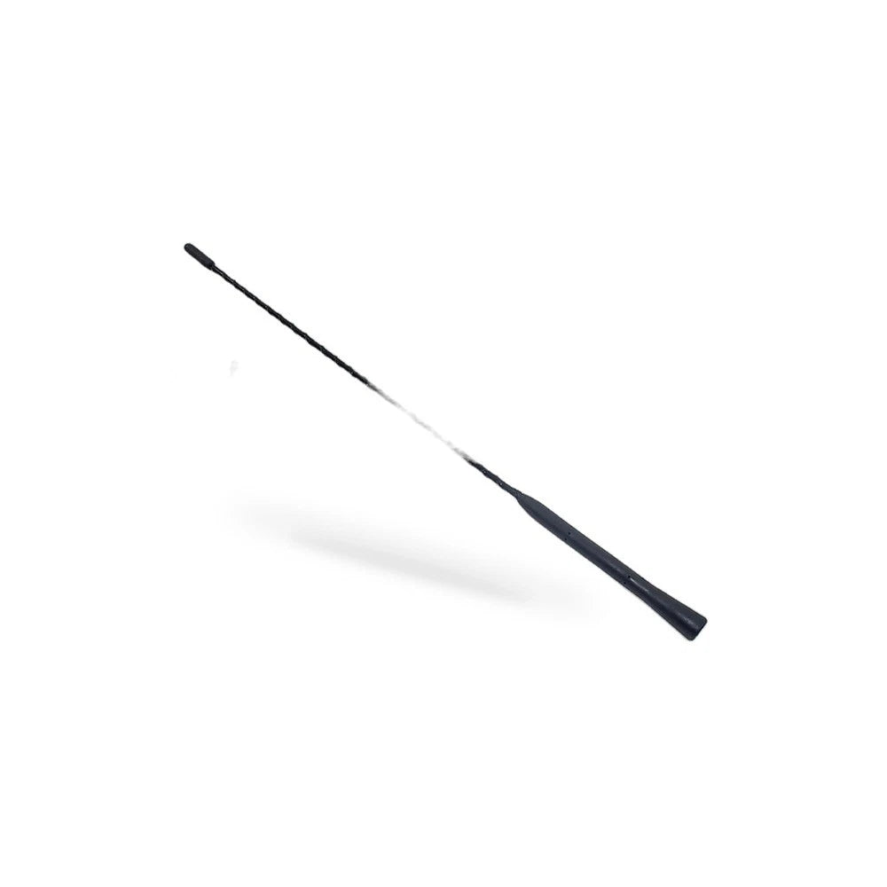 Universal 16 Inch Antenna for Car Radio with Dual Screws
