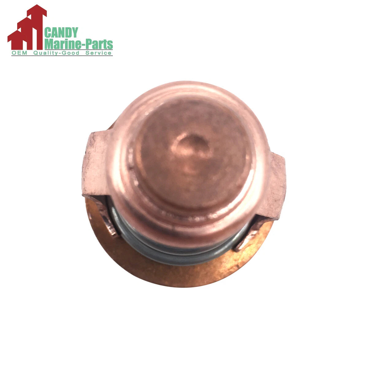 67F-12411-01-00 Yamaha F75 Engine Part (F75)