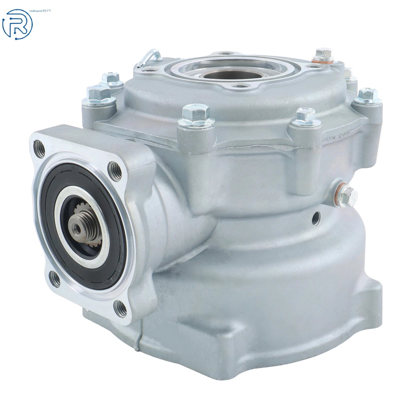 Rear Final Drive Assembly for Honda TRX250 (2008–2020)