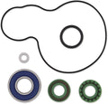 Water Pump Rebuild Kit for KTM (821336mse)