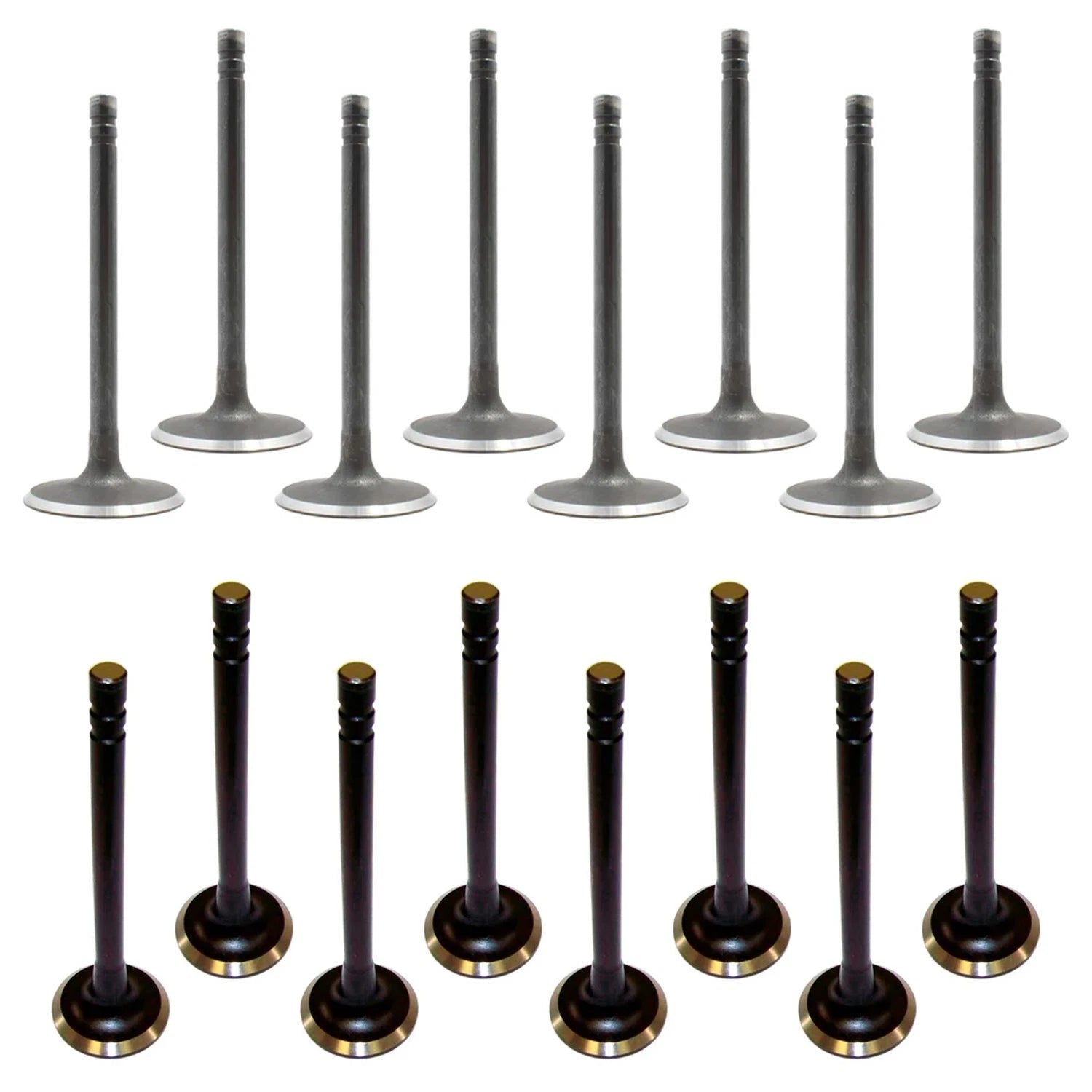 Set of 16 DNJ Intake & Exhaust Valves Kit for Chevrolet C10 C20 C30 Camaro V8 (1960–1981)