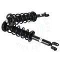 2X Rear Strut & Shock with Coil Spring Assembly for Acura TSX TL (2009–2012)
