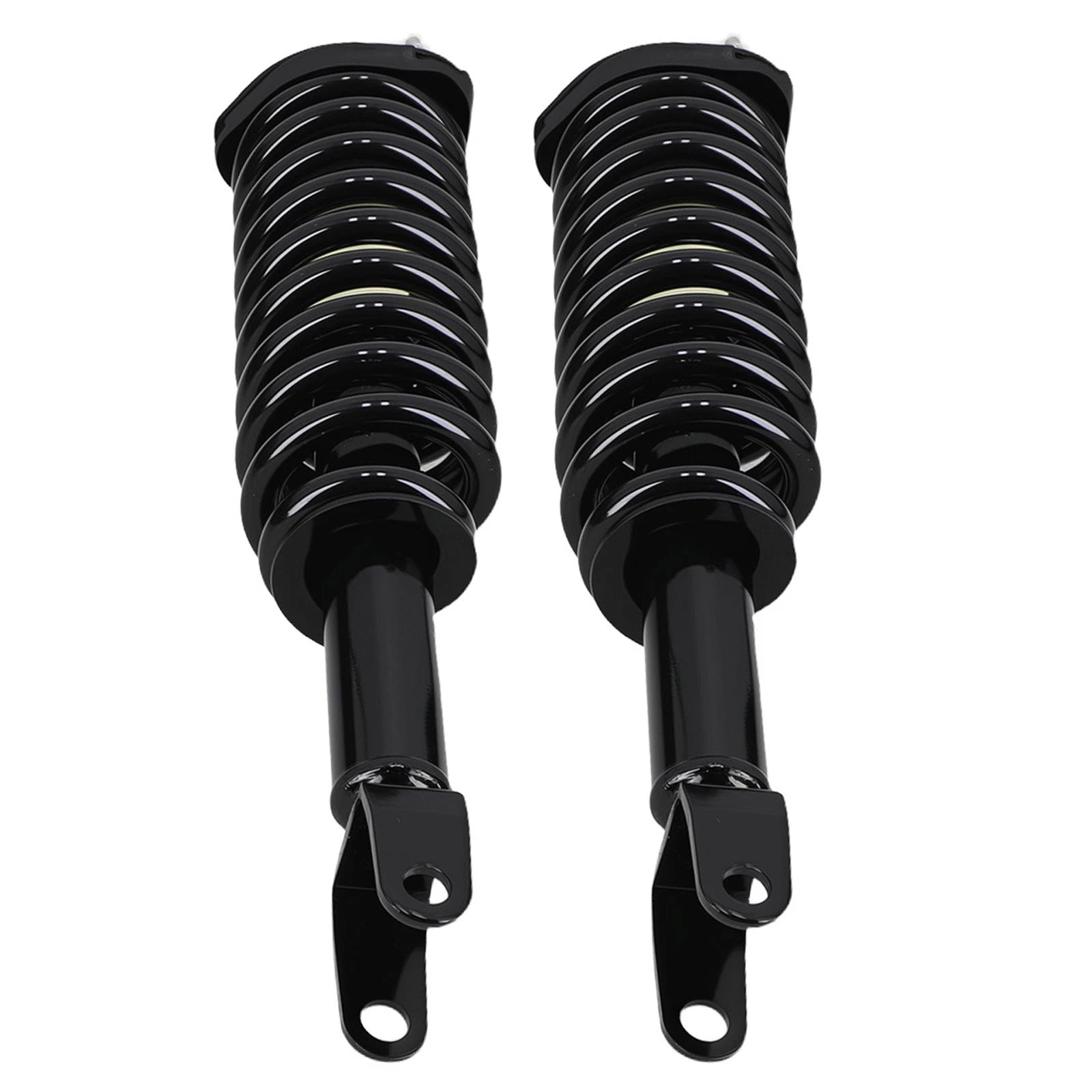 Suspension Kit Front Strut Spring Assembly for Dodge Dakota (2005–2009) RWD