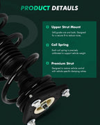 Front Struts w/Coil Spring Assembly for Ford Focus (2013–2018)