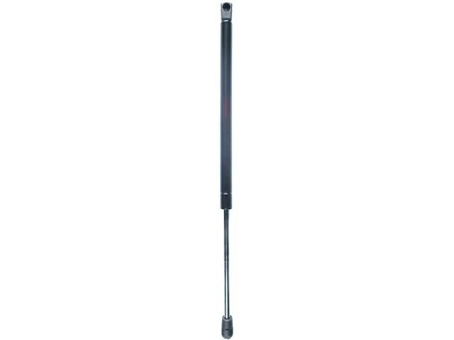 Tailgate Strut for Mazda Tribute (2001–2006) XD578DT