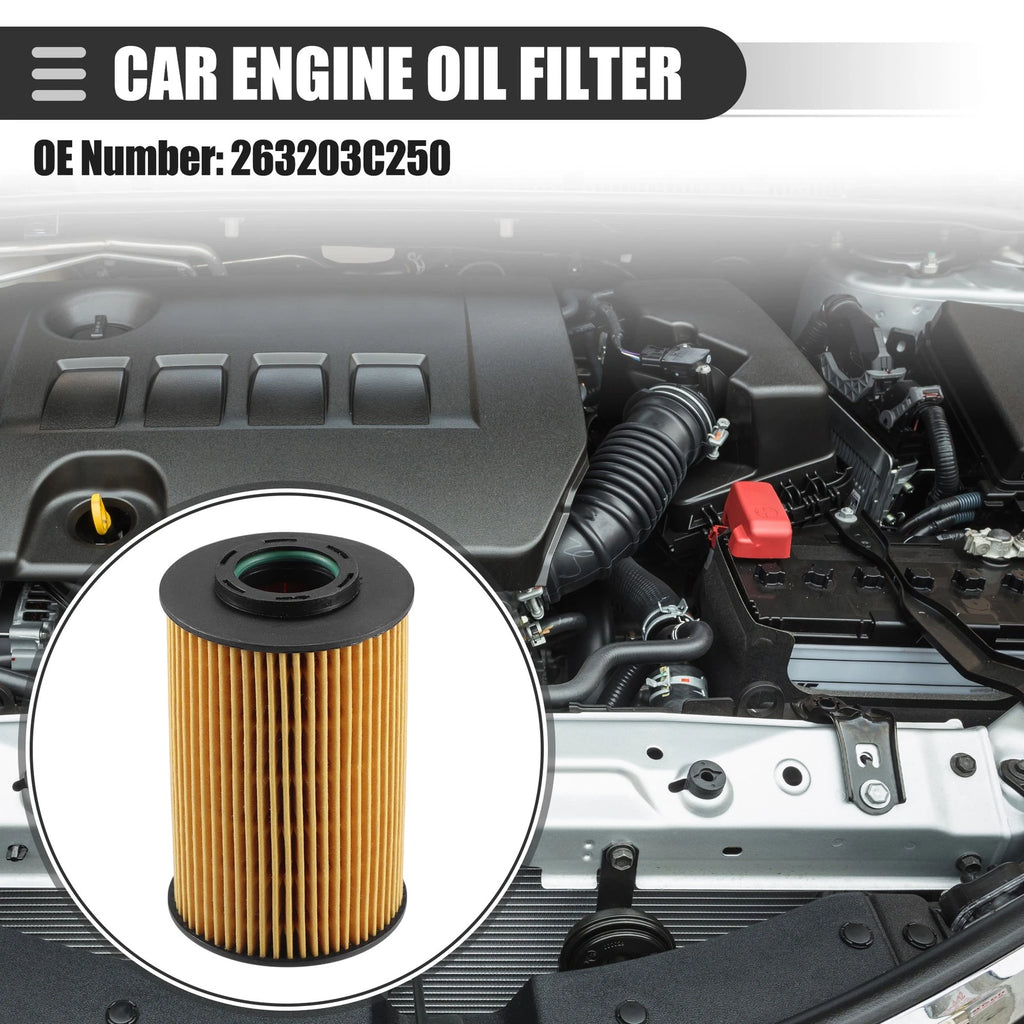 Set of 1 Engine Oil Filters for Kia Sedona (2008–2010) No. 263203C250