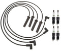 Ignition Wire Set & 4 ACDelco .060" Spark Plugs for LLV S10