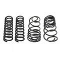 Set of 2 Coil Springs Kit for Chevy Chevette (1976–1987)