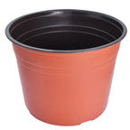 Set of 50 Plastic Flower Pots for Nursery Seedlings