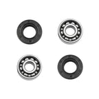 Crankshaft Bearing and Seal Kit for FS90 FS100 FS110 (HT100 HT101)