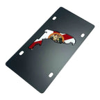 License Plate Frame Replacement Black Carbon Steel for Florida State (2000–2026)