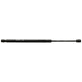 Hood Lift Supports for Sedan