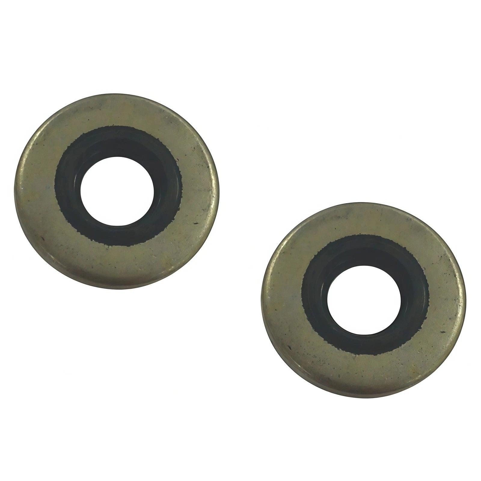 2Pcs Oil Seal for OMC Marine (GLM 86170, 318973, 321480, 18-2028)