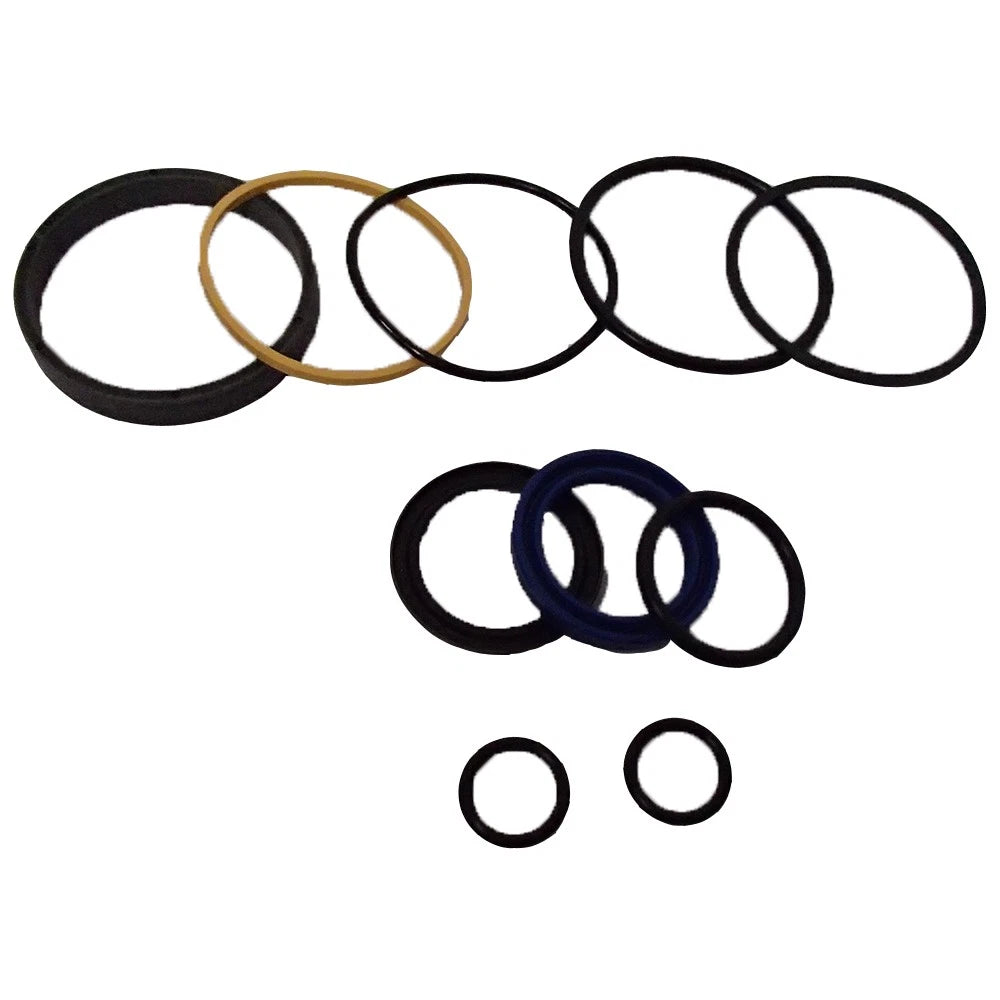 Hydraulic Lift Dump Cylinder Seal Kit for Massey Ferguson Loader (200)