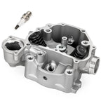 2 x Cylinder Head Assy for Honda TRX420 TRX500 SXS500M