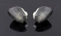 Front Turn Signal Lens Set for Honda CBR600 CBR1000 (1991–1994) Smoke