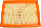 HIFLOFILTRO Air Filter for KTM (HFA6301)