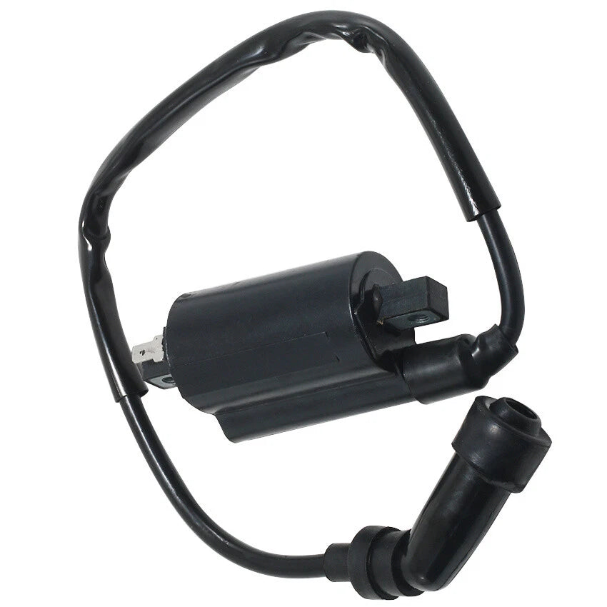 Ignition Coil for Suzuki EN125 DF200 GS125 DR200 DR200SE GN125 DR125SE DF125 (2000–2023)