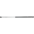 Lift Support Set for Cadillac CTS (2003–2007) Driver LH Passenger RH