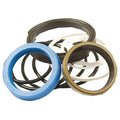 Lift Cylinder Seal Kit for Massey Ferguson 250 (3443575M93)