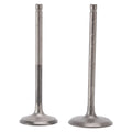 Intake & Exhaust Valves for Yamaha F200 F225 F250 (2000–2019)