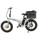 Portable Thermal Insulation Cold Bag 32L for ECOTRIC
