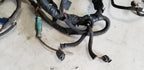 Engine Fuel Harness for Ford Thunderbird Cougar (1994–1995) 4.6L V8
