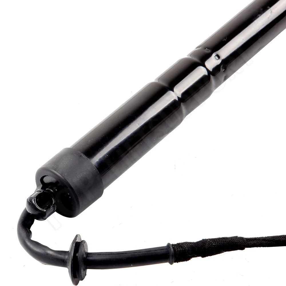 Lift Support for 2012-2017 Range Rover Evoque (Left Rear)