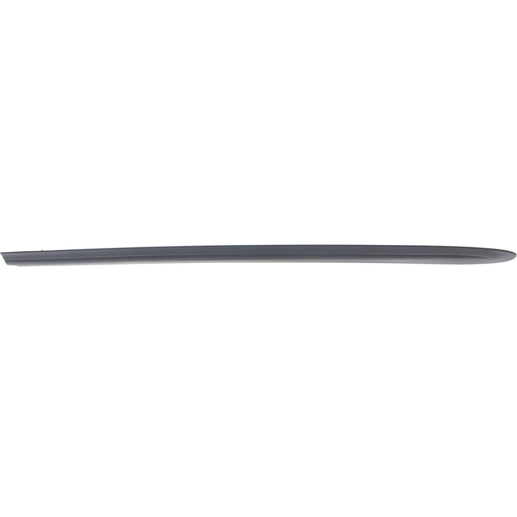 Set of 2 Door Molding and Beltlines for Dodge Grand Caravan (2002–2004)