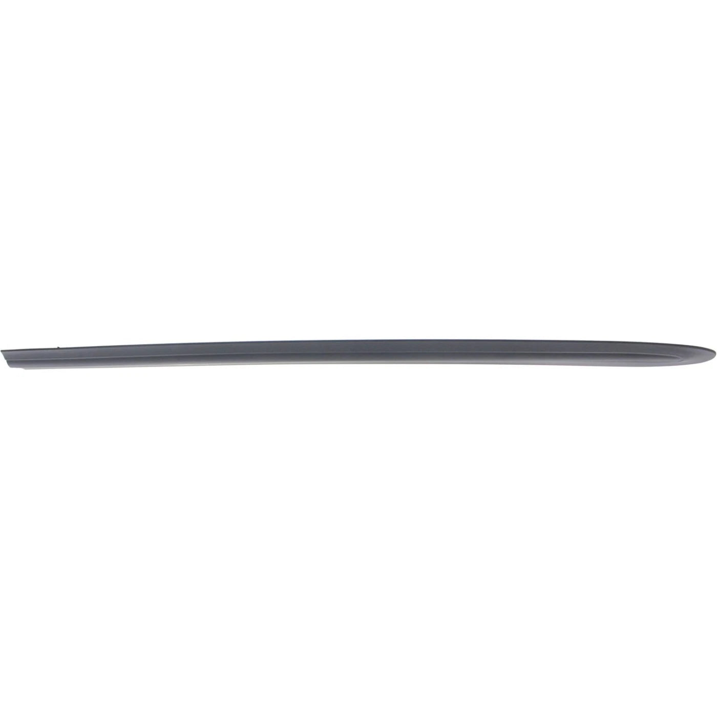 Set of 2 Door Molding and Beltlines for Dodge Grand Caravan (2002–2004)