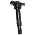 Ignition Coils for Hyundai Santa Fe, Kia Optima (2006)