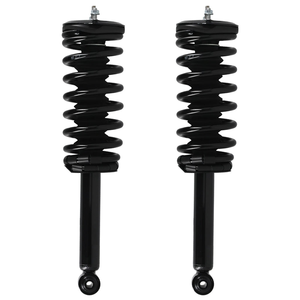 2X Rear Complete Struts Shocks w/Coil Springs for Nissan Maxima (1995–1999)