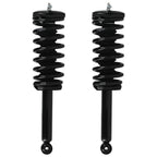 2X Rear Complete Struts Shocks w/Coil Springs for Nissan Maxima (1995–1999)