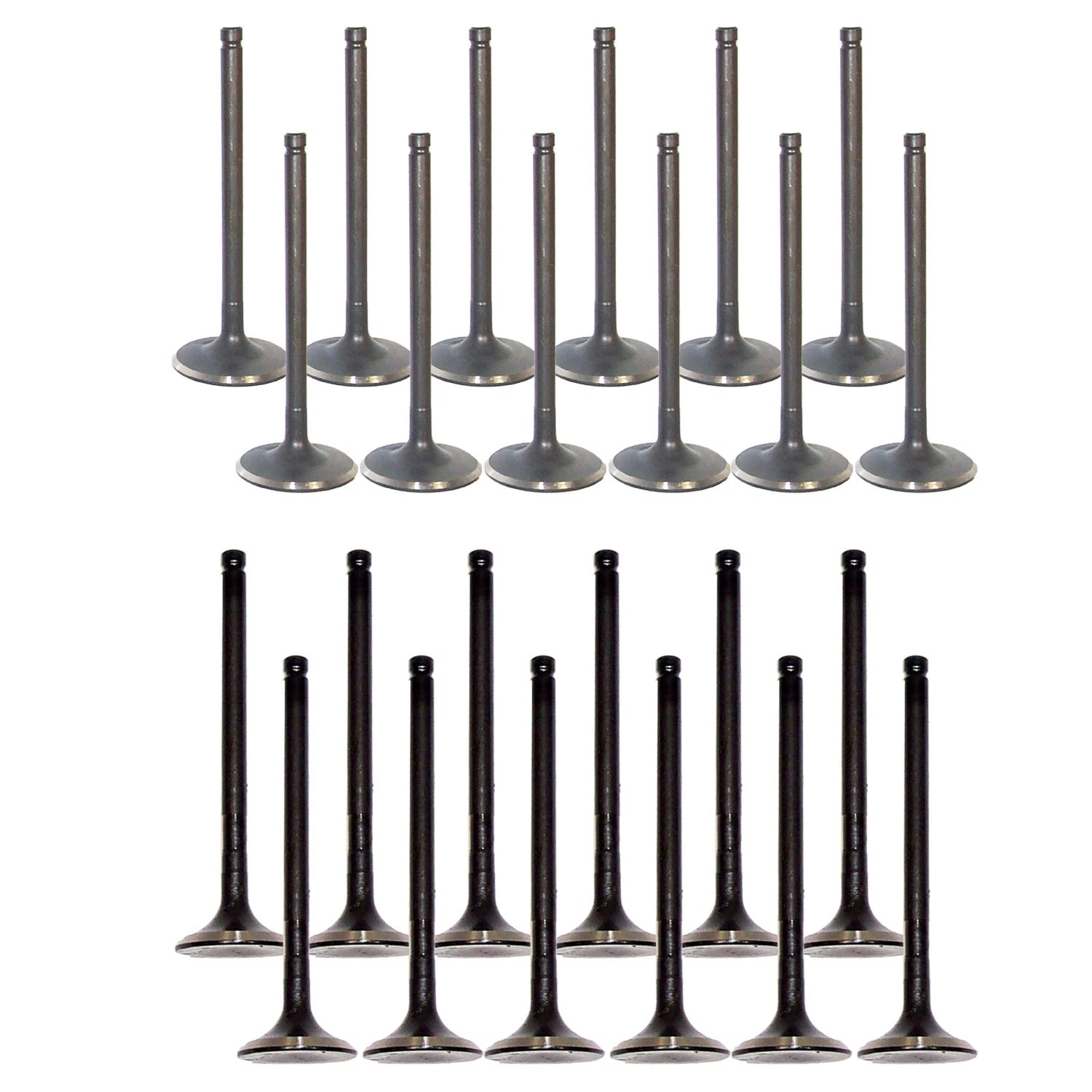 Set of 24 Intake & Exhaust Valves Kit for 4Runner Camry Tacoma Tundra