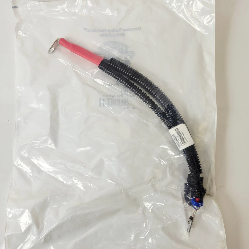 Positive Battery Cable for Harley-Davidson Touring Trike (2017–2025) 69201130
