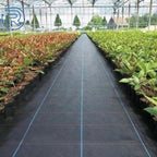 Weed Barrier Fabric for Landscape (6x100 Feet)
