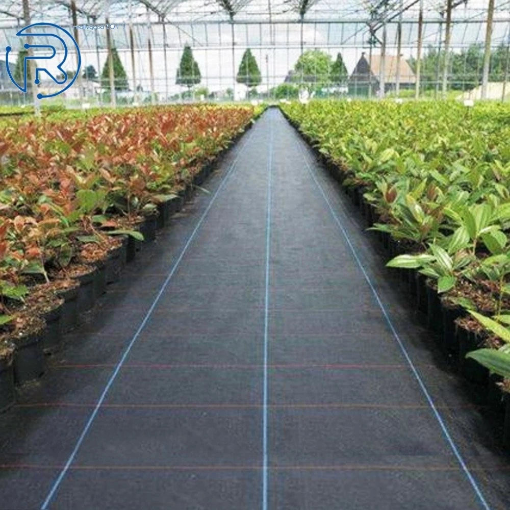Weed Barrier Fabric for Landscape (6x100 Feet)