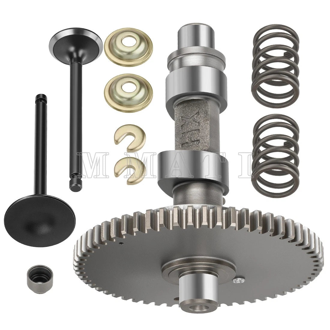 Camshaft Valves with Springs Seal Kit for Yamaha G21 G22 G23 G27 G28 (Gas)
