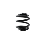 Lesjofors Rear Coil Spring for Audi (4204249)
