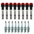Set of 8 Ignition Coils & NGK Laser Platinum Spark Plugs for Audi A6 Quattro S4 V8 (2000–2005)