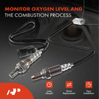 2X O2 Oxygen Sensors for Nissan Rogue (2010-2019)